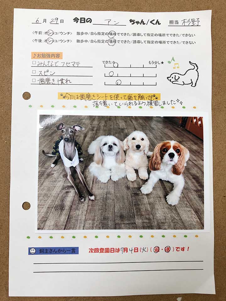 犬の保育園・連絡帳