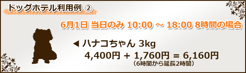 3㎏の犬がDAYお預かり8時間ご利用で6160円