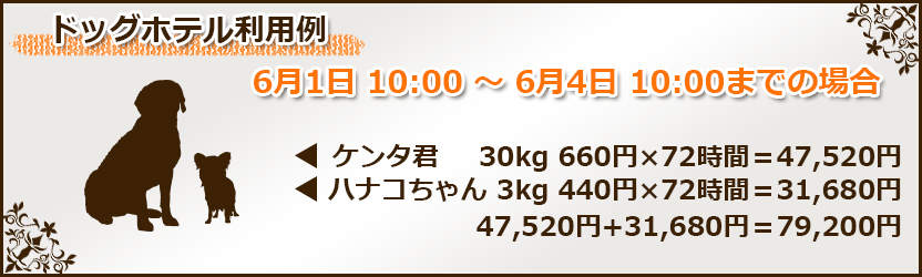 30㎏と3kgの犬が72時間ご利用で79200円
